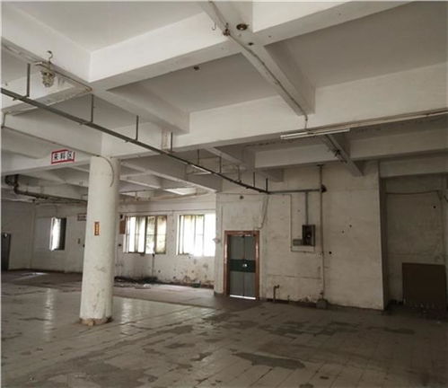 日照市廠房驗廠安全檢測鑒定收費標準解析及建筑材料安全新規(guī)引關注